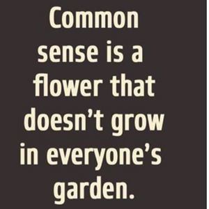 Meet your Posher, Pamela